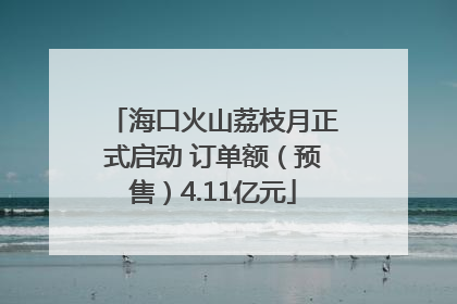 海口火山荔枝月正式启动 订单额（预售）4.11亿元