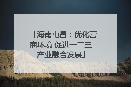 海南屯昌：优化营商环境 促进一二三产业融合发展