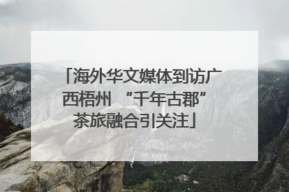 海外华文媒体到访广西梧州 “千年古郡”茶旅融合引关注