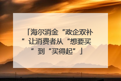 海尔消金“政企双补”让消费者从“想要买”到“买得起”