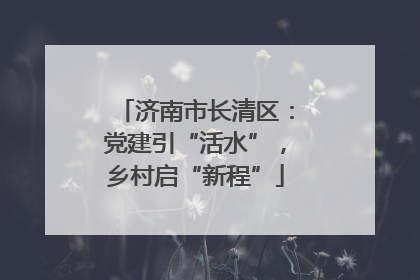 济南市长清区：党建引“活水”，乡村启“新程”