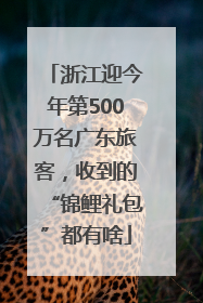 浙江迎今年第500万名广东旅客，收到的“锦鲤礼包”都有啥