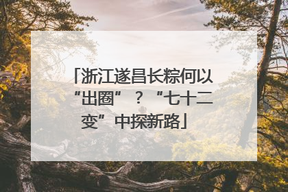 浙江遂昌长粽何以“出圈”？“七十二变”中探新路