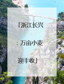 浙江长兴：万亩小麦迎丰收