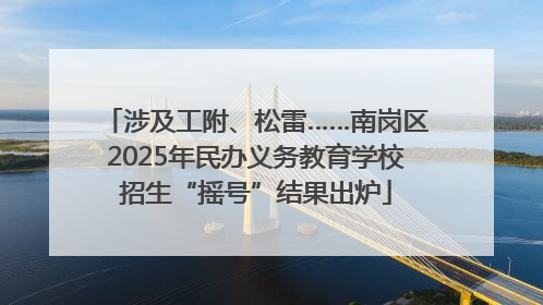 涉及工附、松雷……南岗区2025年民办义务教育学校招生“摇号”结果出炉