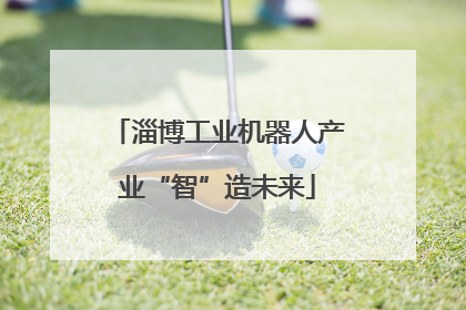 淄博工业机器人产业“智”造未来