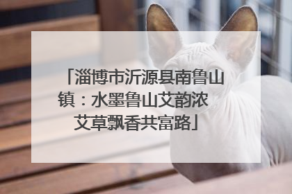 淄博市沂源县南鲁山镇：水墨鲁山艾韵浓 艾草飘香共富路