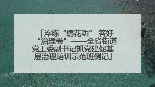 淬炼“绣花功” 答好“治理卷”——全省街道党工委副书记抓党建促基层治理培训示范班侧记