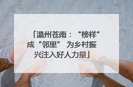 温州苍南：“榜样”成“邻里” 为乡村振兴注入好人力量