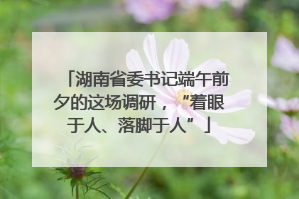 湖南省委书记端午前夕的这场调研，“着眼于人、落脚于人”