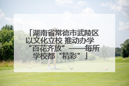 湖南省常德市武陵区以文化立校 推动办学“百花齐放”——每所学校都“精彩”