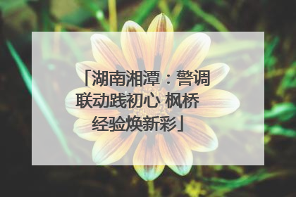 湖南湘潭：警调联动践初心 枫桥经验焕新彩
