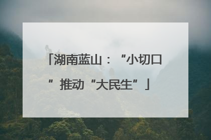湖南蓝山：“小切口”推动“大民生”