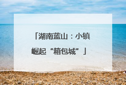 湖南蓝山：小镇崛起“箱包城”