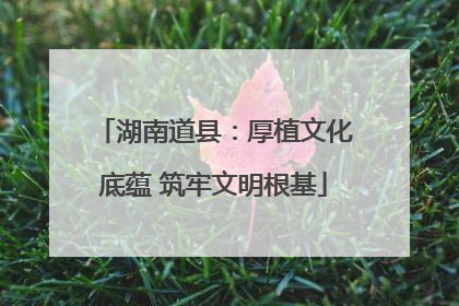 湖南道县：厚植文化底蕴 筑牢文明根基