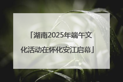 湖南2025年端午文化活动在怀化安江启幕