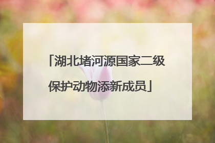 湖北堵河源国家二级保护动物添新成员