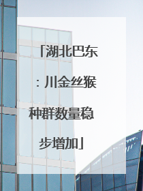 湖北巴东：川金丝猴种群数量稳步增加