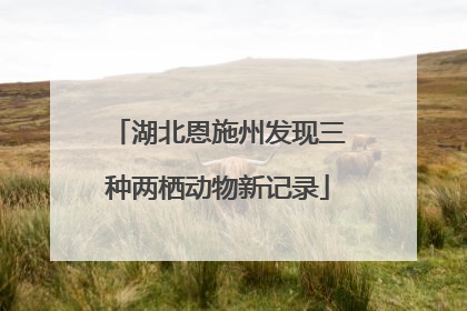 湖北恩施州发现三种两栖动物新记录