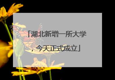 湖北新增一所大学，今天正式成立