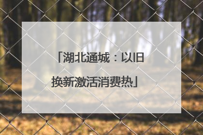 湖北通城：以旧换新激活消费热