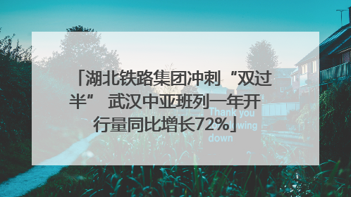 湖北铁路集团冲刺“双过半” 武汉中亚班列一年开行量同比增长72%