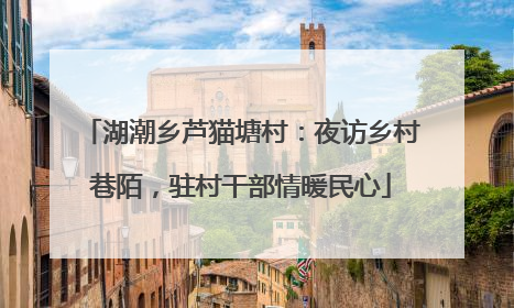 湖潮乡芦猫塘村：夜访乡村巷陌，驻村干部情暖民心