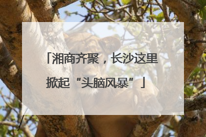 湘商齐聚，长沙这里掀起“头脑风暴”