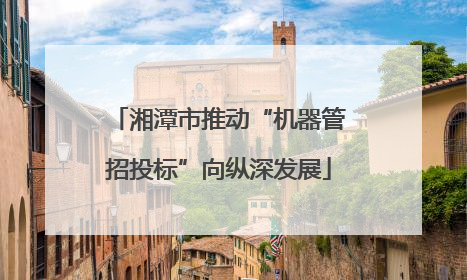 湘潭市推动“机器管招投标”向纵深发展