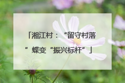 湘江村：“留守村落”蝶变“振兴标杆”