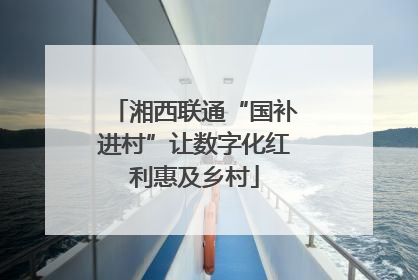 湘西联通“国补进村”让数字化红利惠及乡村