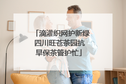滴灌织网护新绿 四川旺苍茶园抗旱保茶管护忙
