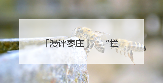 漫评枣庄｜一“拦”一“送”皆温暖，柔心善意映枣城