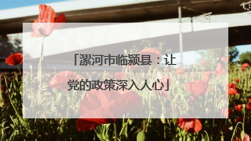 漯河市临颍县：让党的政策深入人心