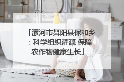 漯河市舞阳县保和乡：科学组织灌溉 保障农作物健康生长