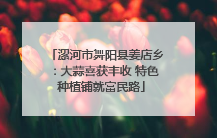漯河市舞阳县姜店乡：大蒜喜获丰收 特色种植铺就富民路