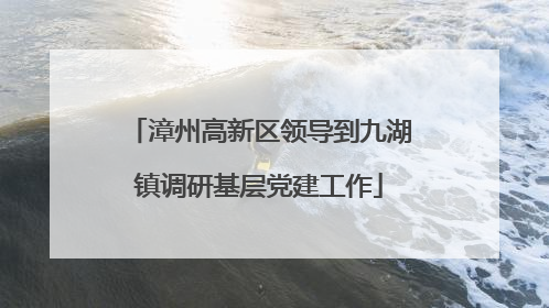漳州高新区领导到九湖镇调研基层党建工作