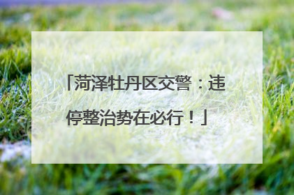 菏泽牡丹区交警：违停整治势在必行！