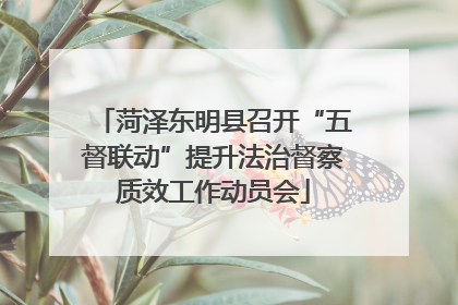 菏泽东明县召开“五督联动”提升法治督察质效工作动员会