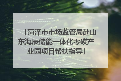 菏泽市市场监管局赴山东海辰储能一体化零碳产业园项目帮扶指导