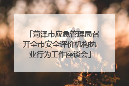 菏泽市应急管理局召开全市安全评价机构执业行为工作座谈会