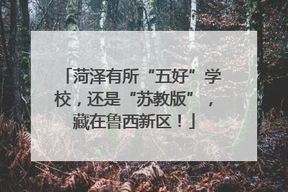 菏泽有所“五好”学校，还是“苏教版”，藏在鲁西新区！