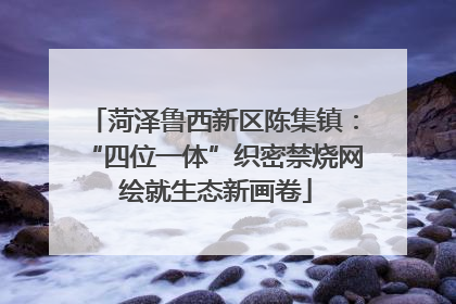 菏泽鲁西新区陈集镇：“四位一体”织密禁烧网 绘就生态新画卷