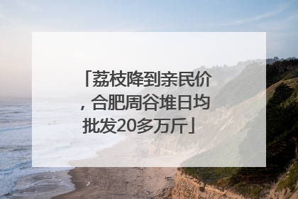 荔枝降到亲民价，合肥周谷堆日均批发20多万斤