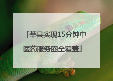 莘县实现15分钟中医药服务圈全覆盖