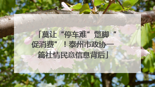 莫让“停车难”蹩脚“促消费”！泰州市政协一篇社情民意信息背后
