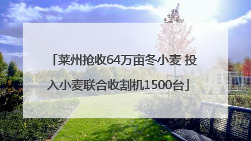 莱州抢收64万亩冬小麦 投入小麦联合收割机1500台