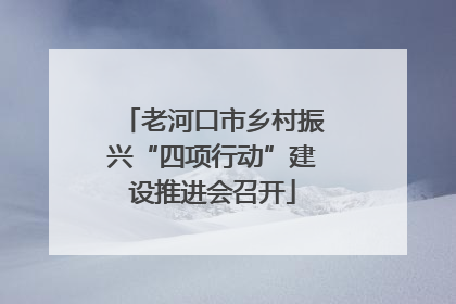 老河口市乡村振兴“四项行动”建设推进会召开