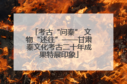 考古“问秦” 文物“述往”——甘肃秦文化考古二十年成果特展印象