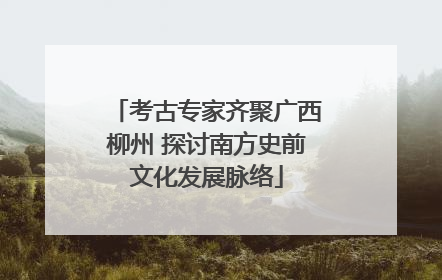 考古专家齐聚广西柳州 探讨南方史前文化发展脉络